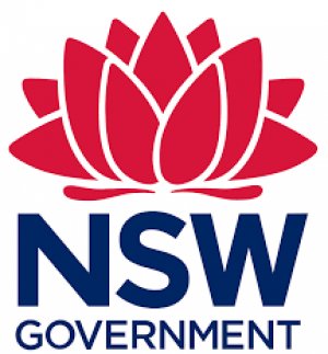 NSW govt